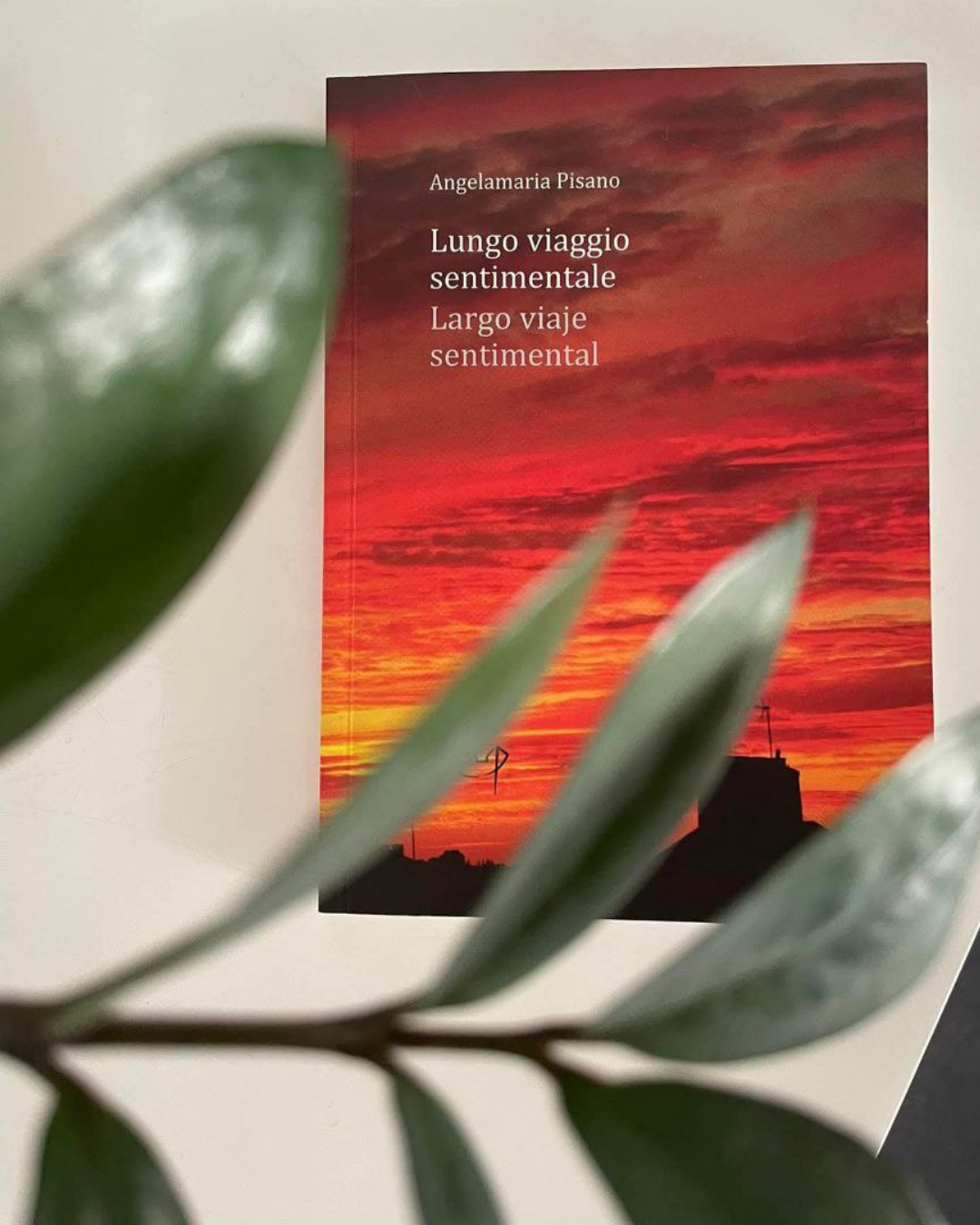 Molto più di un libro..